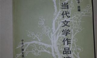 中国当代文学作品选 中国当代文学风格